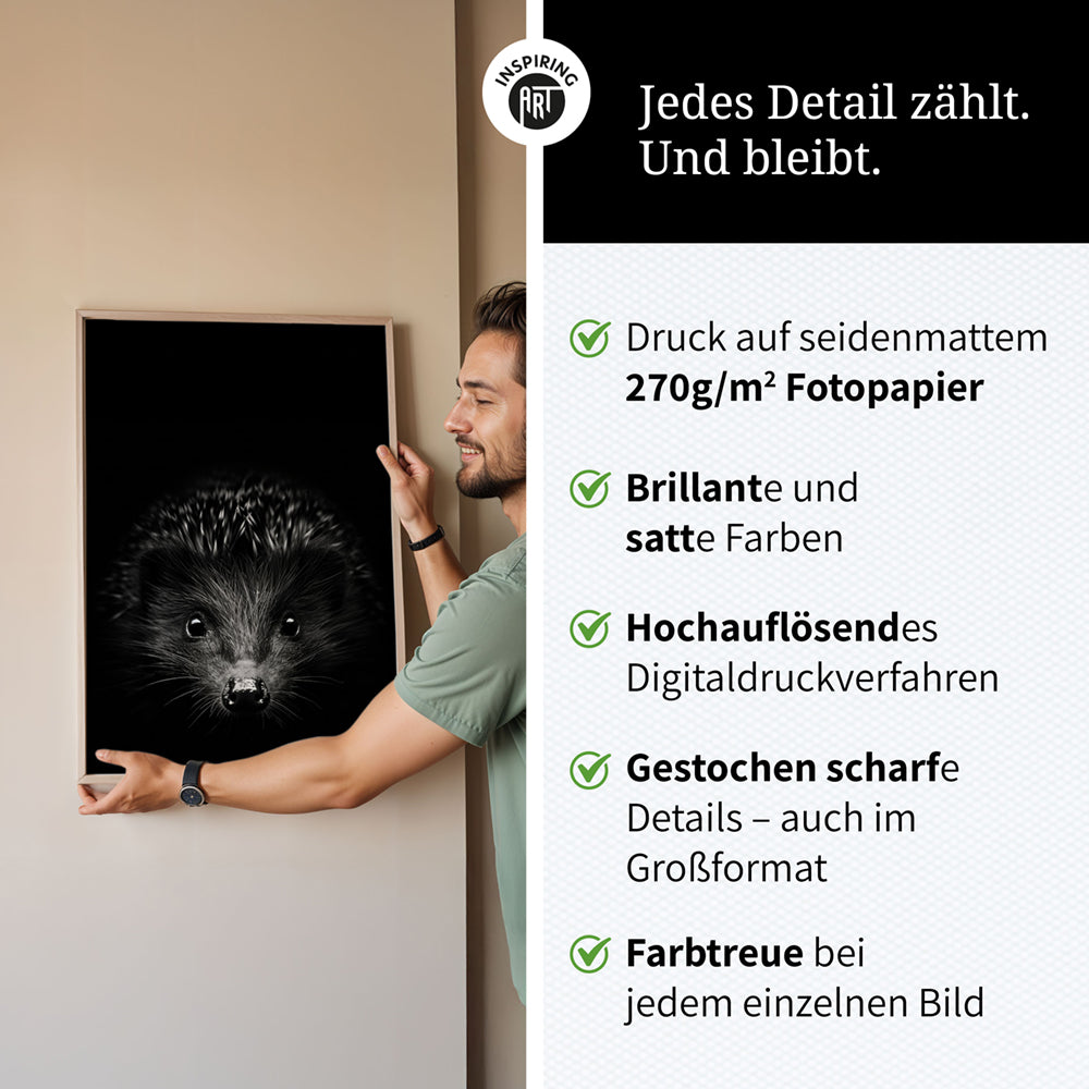 Poster: Tierporträt Igel "Stitch" in Schwarz-Weiß