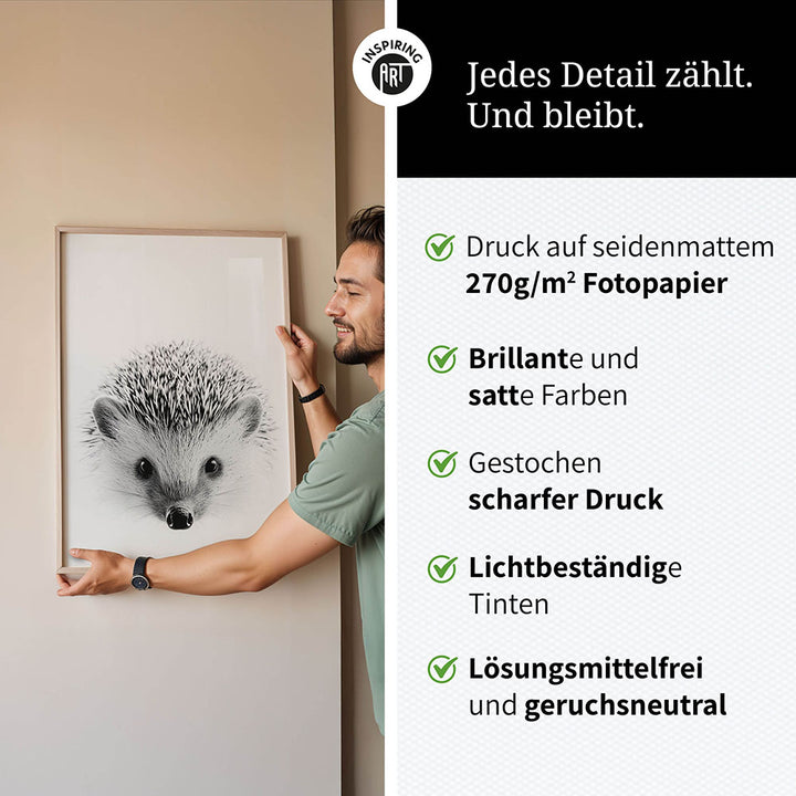 Poster: Tierporträt Igel "Pico" in Schwarz-Weiß