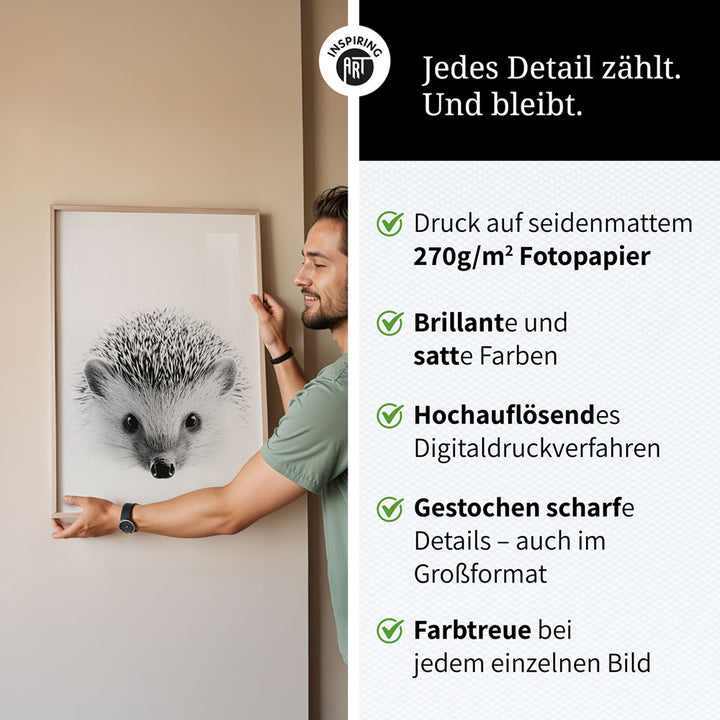 Poster: Tierporträt Igel "Pico" in Schwarz-Weiß