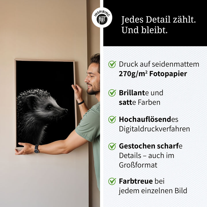 Poster: Tierporträt Igel "Nox" in Schwarz-Weiß