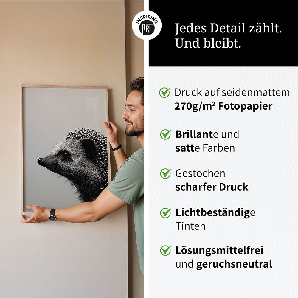 Poster: Tierporträt Igel "Fips" in Schwarz-Weiß