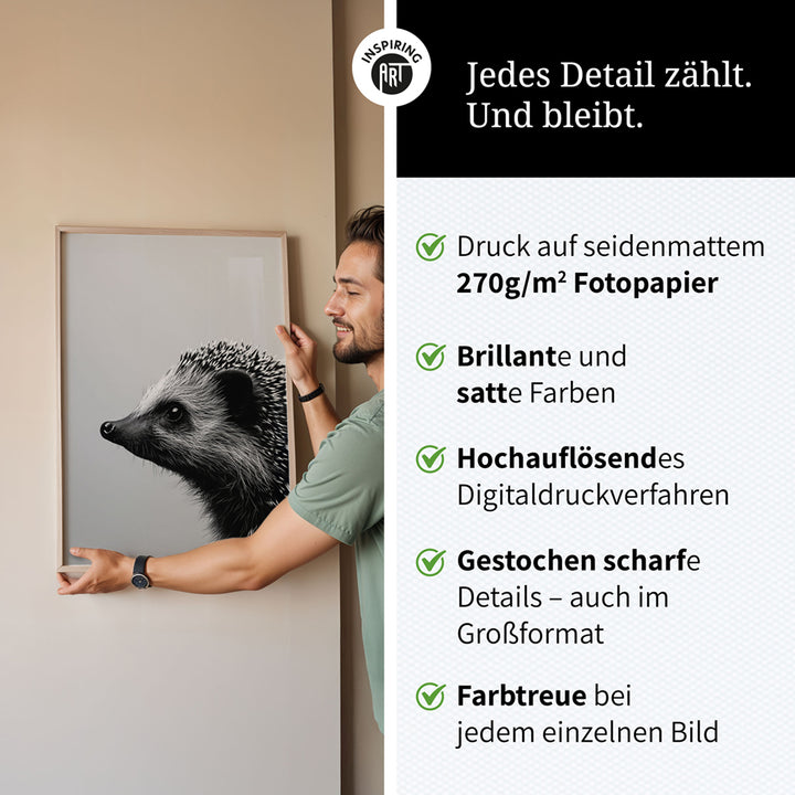 Poster: Tierporträt Igel "Fips" in Schwarz-Weiß