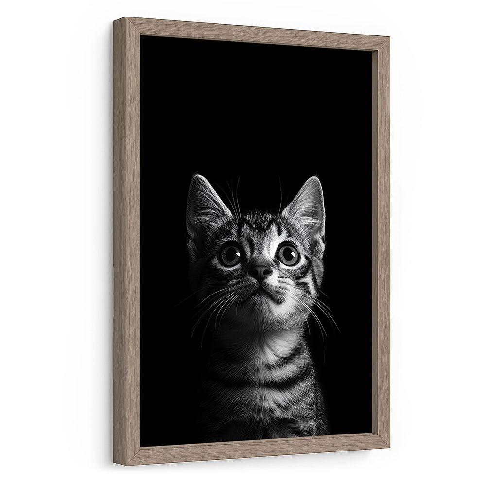 Poster mit Rahmen Katze Schwarz Weiß