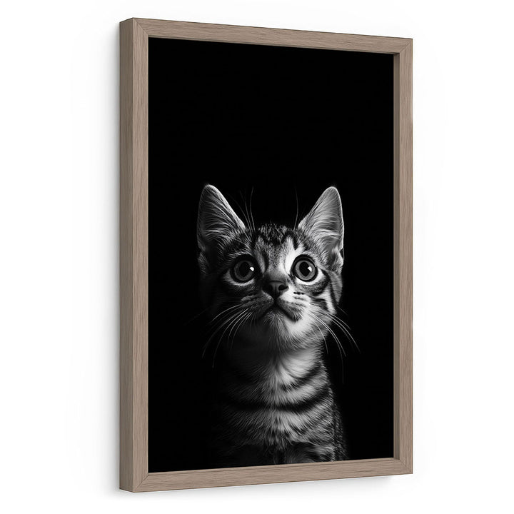 Poster mit Rahmen Katze Schwarz Weiß