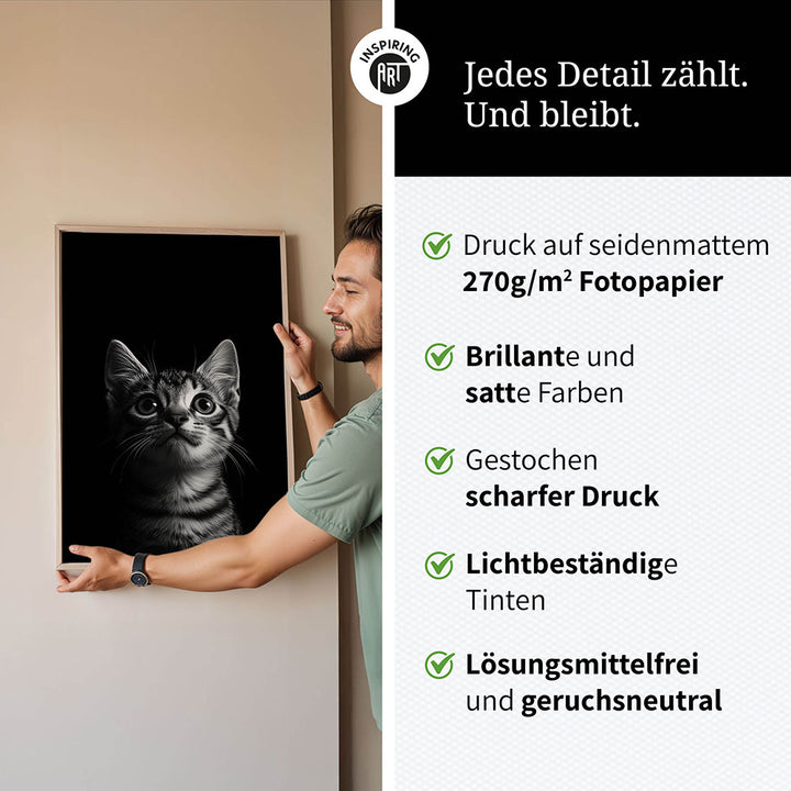 Poster: Tierporträt Katze "Felino" in Schwarz-Weiß