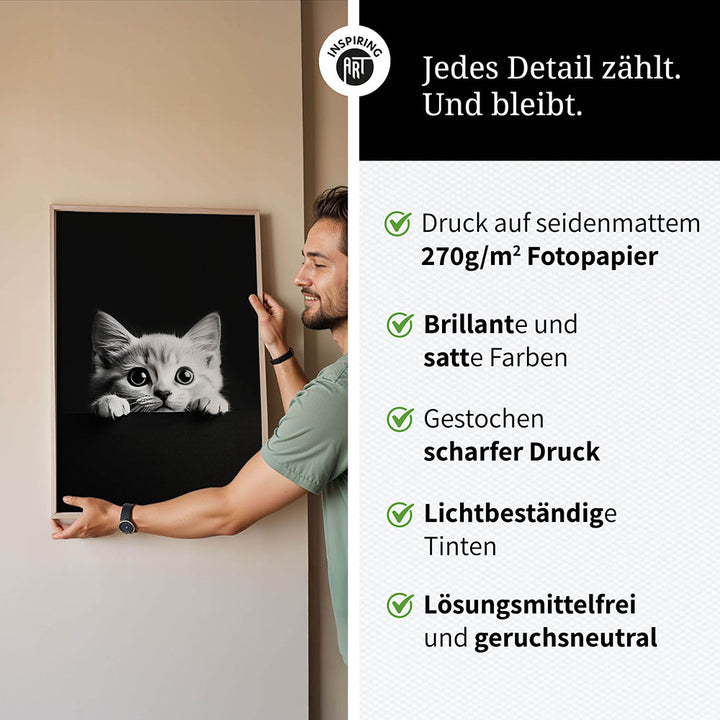 Poster: Tierporträt Katze "Misty" in Schwarz-Weiß