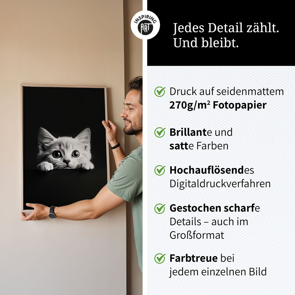 Poster: Tierporträt Katze "Misty" in Schwarz-Weiß