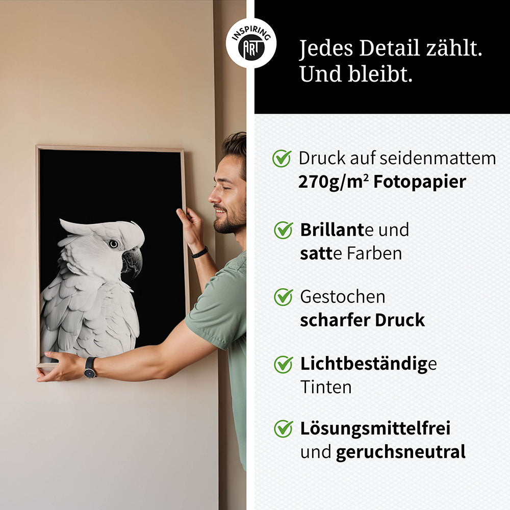 Poster: Tierporträt Papagei "Rio" in Schwarz-Weiß