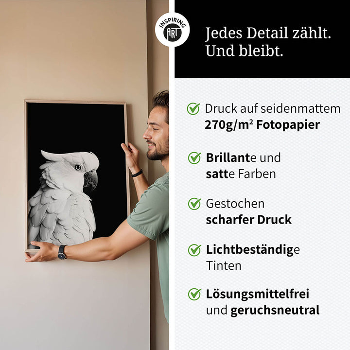 Poster: Tierporträt Papagei "Rio" in Schwarz-Weiß