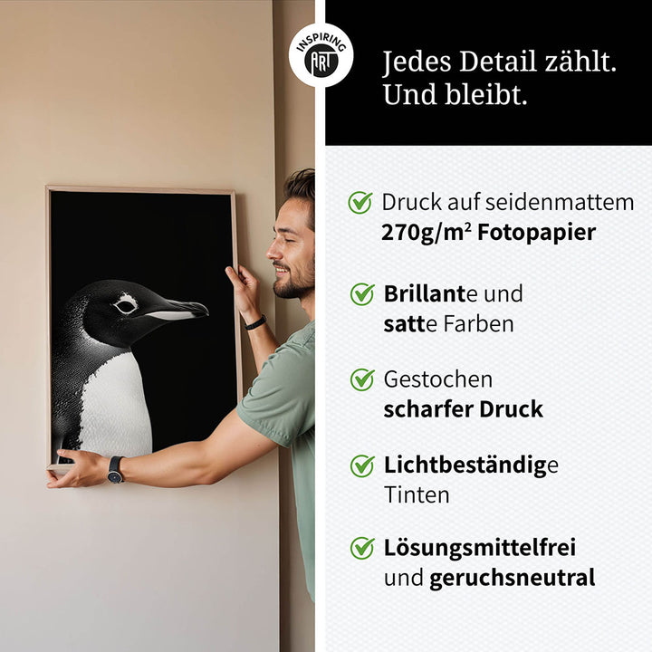 Poster: Tierporträt Pinguin "Nuka" in Schwarz-Weiß