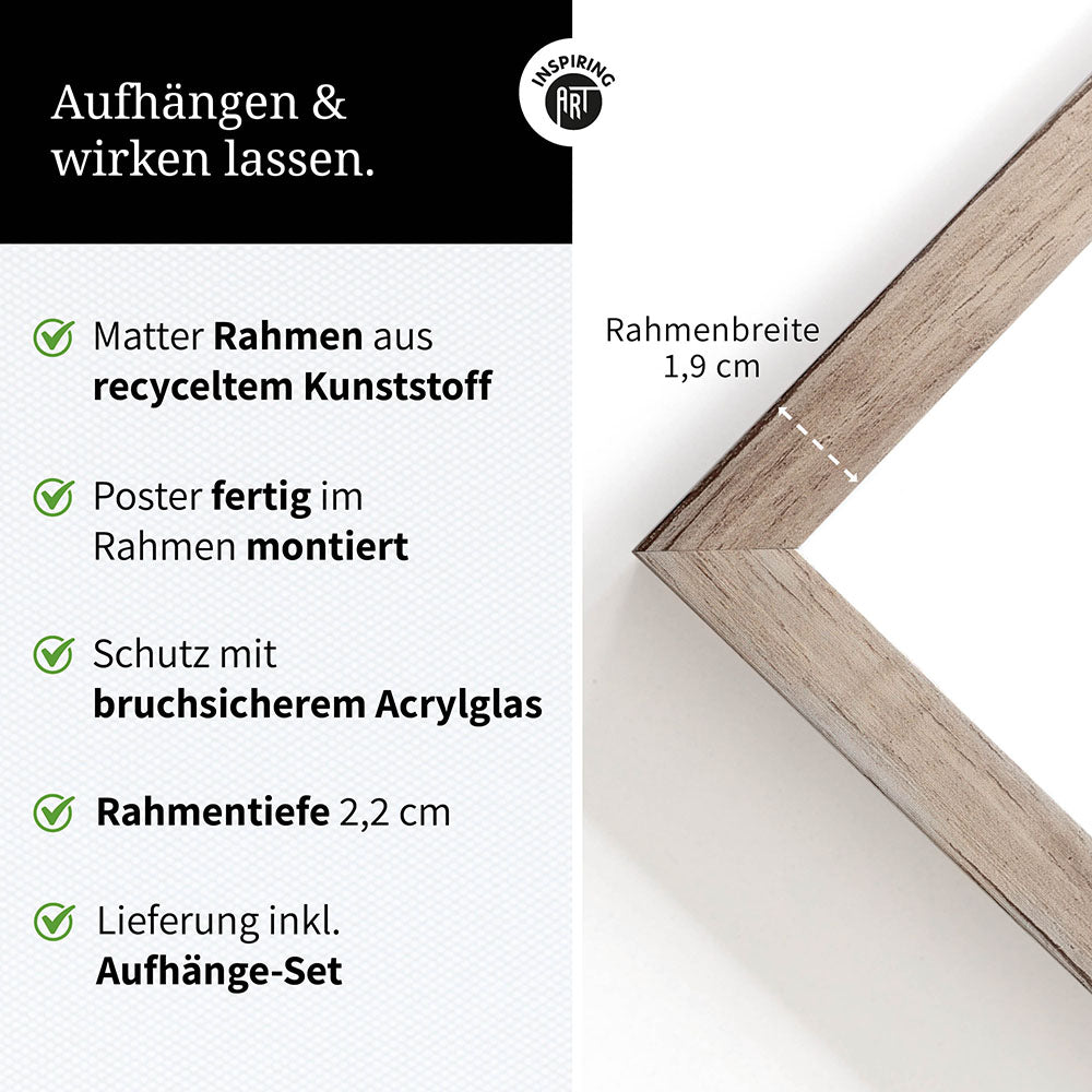 Poster: Tierporträt junger Tiger "Zuko" in Schwarz-Weiß