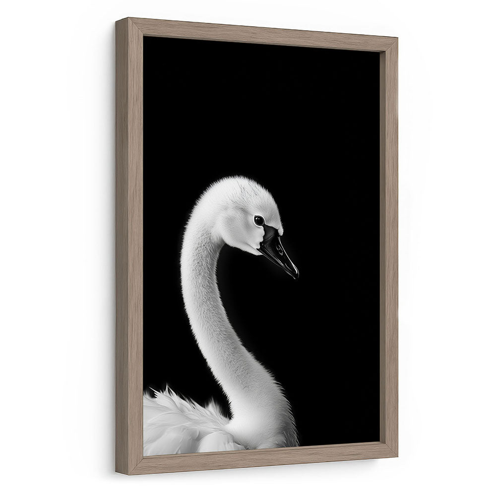 Schwan Poster mit Rahmen