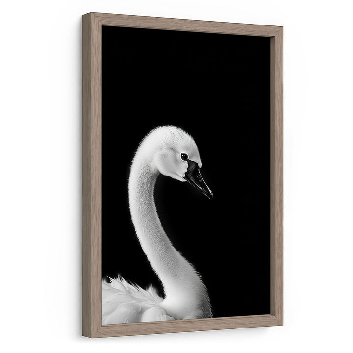 Schwan Poster mit Rahmen