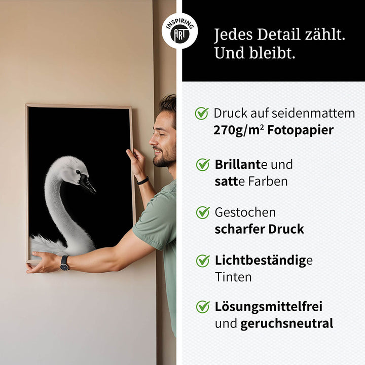 Poster: Tierporträt junger Schwan "Zaria" in Schwarz-Weiß