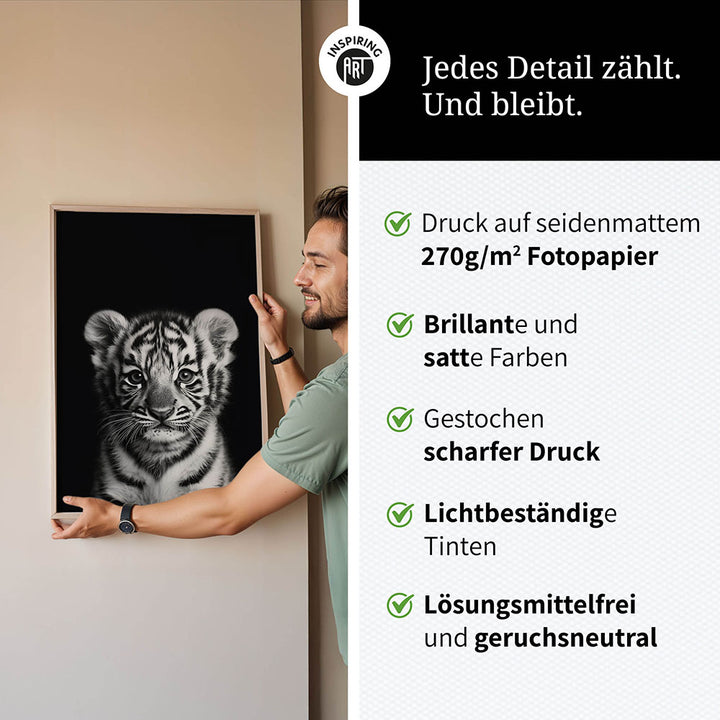 Poster: Tierporträt junger Tiger "Zuko" in Schwarz-Weiß