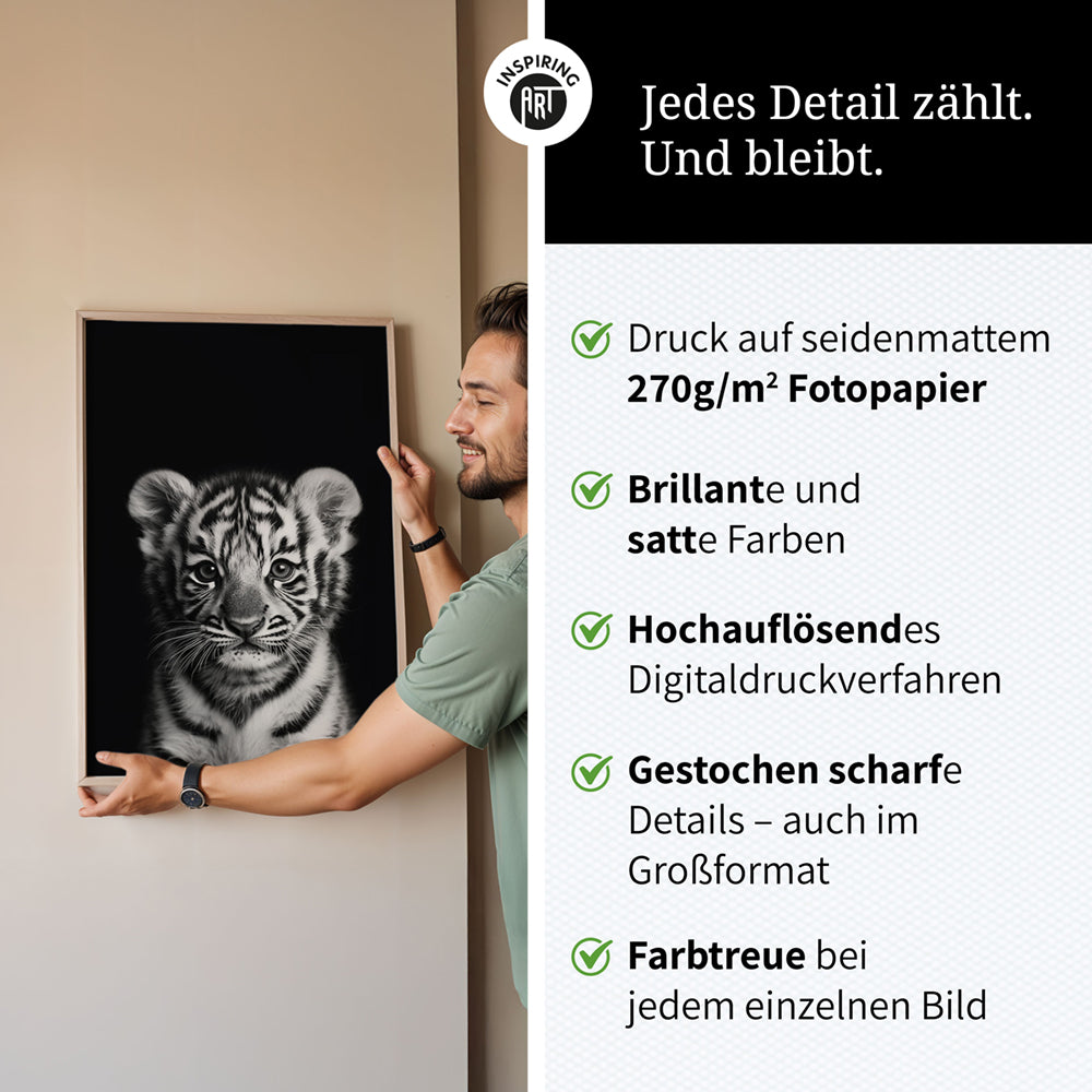 Poster: Tierporträt junger Tiger "Zuko" in Schwarz-Weiß