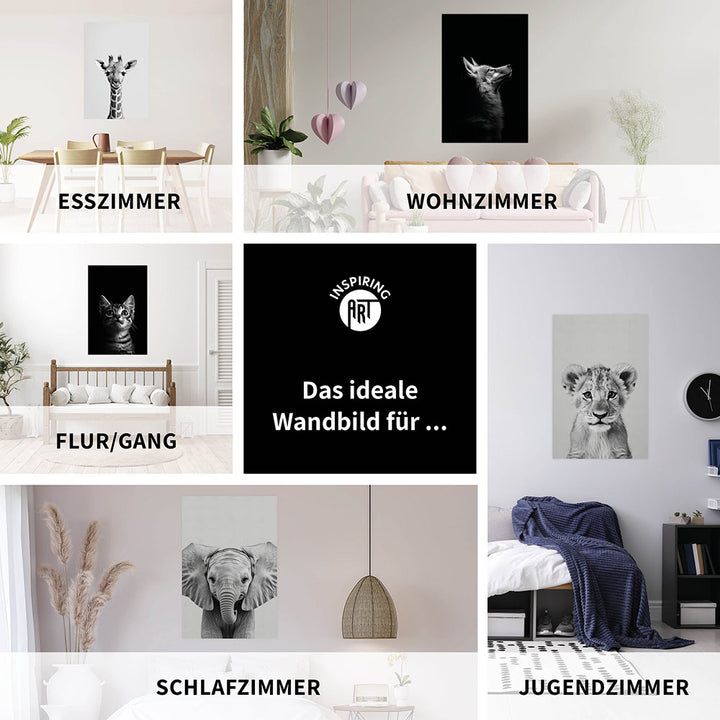 Poster: Tierporträt Reh "Dawn" in Schwarz-Weiß