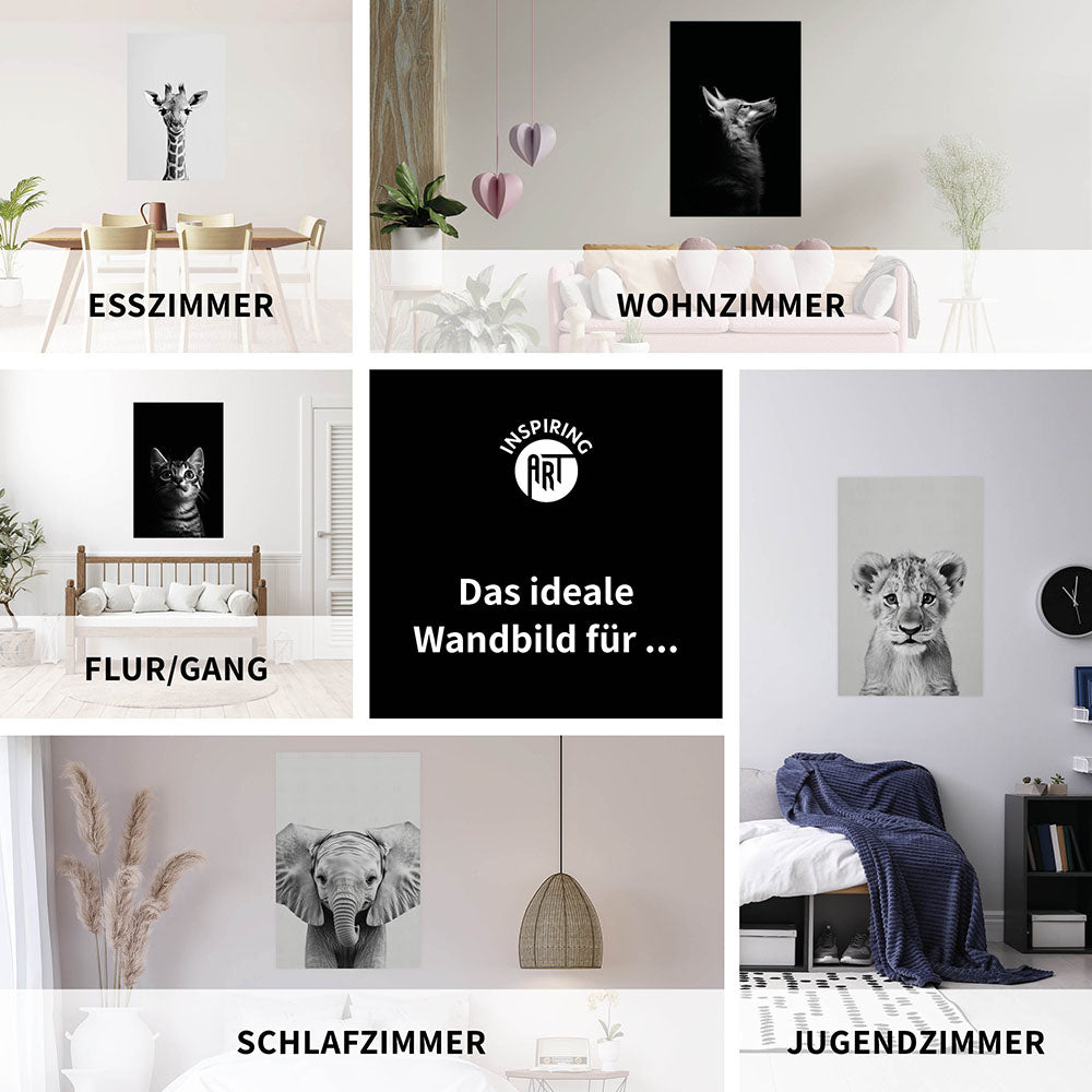 Poster: Tierporträt junger Schwan "Zaria" in Schwarz-Weiß