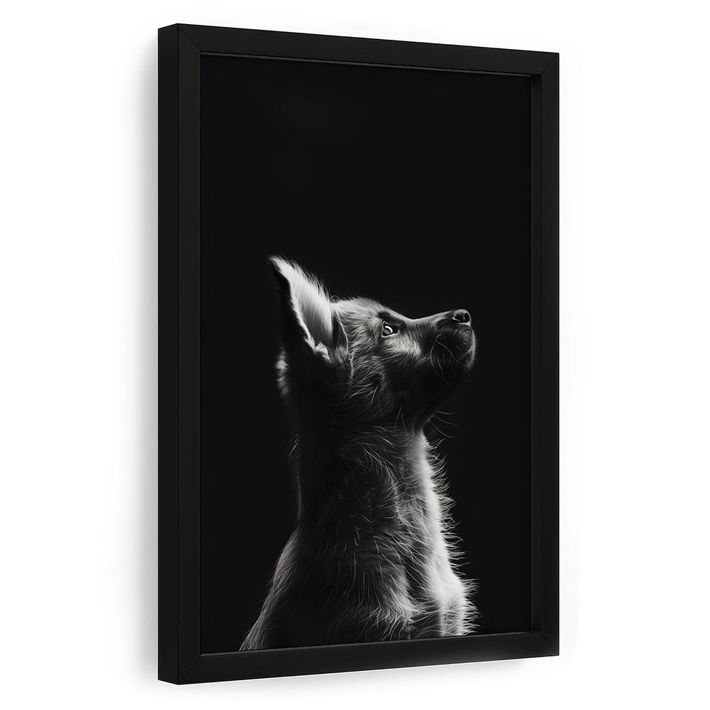 Hund Poster mit Rahmen