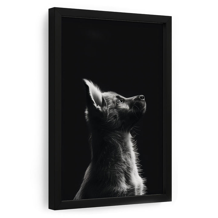 Hund Poster mit Rahmen