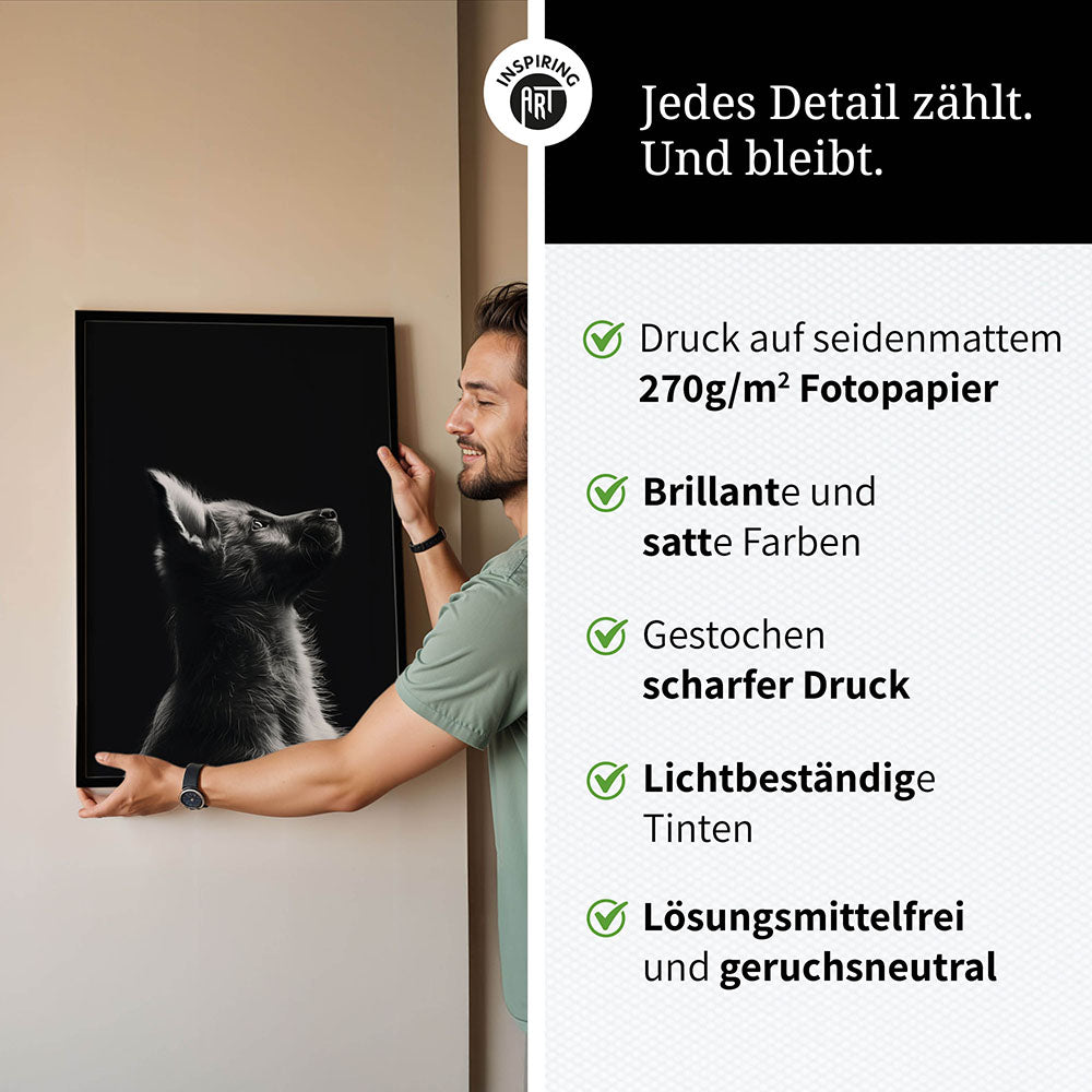 Poster: Tierporträt Hund "Lex" in Schwarz-Weiß