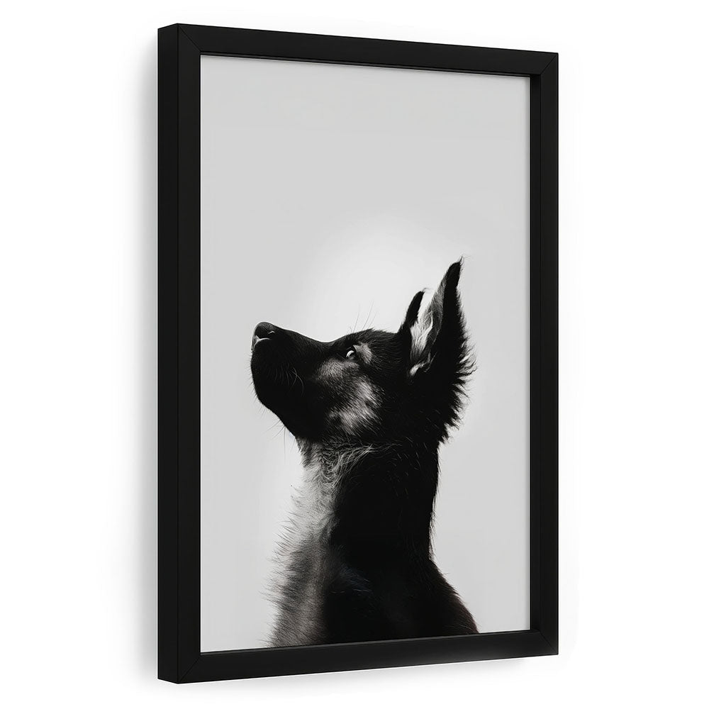 Hund Poster mit Rahmen