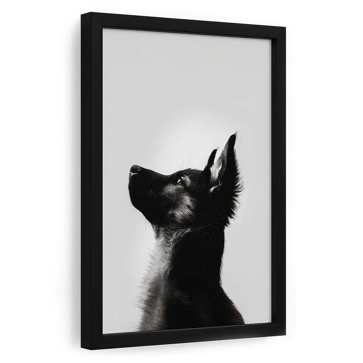 Hund Poster mit Rahmen