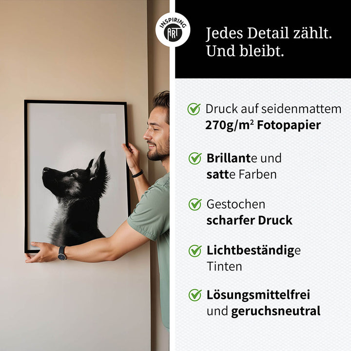 Poster: Tierporträt Hund "Baxter" in Schwarz-Weiß