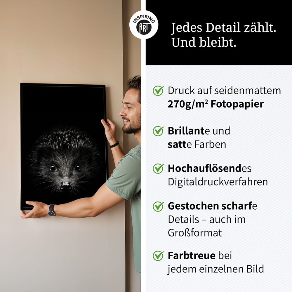 Poster: Tierporträt Igel "Stitch" in Schwarz-Weiß