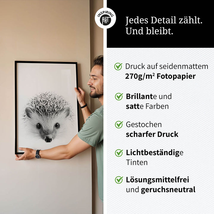Poster: Tierporträt Igel "Pico" in Schwarz-Weiß