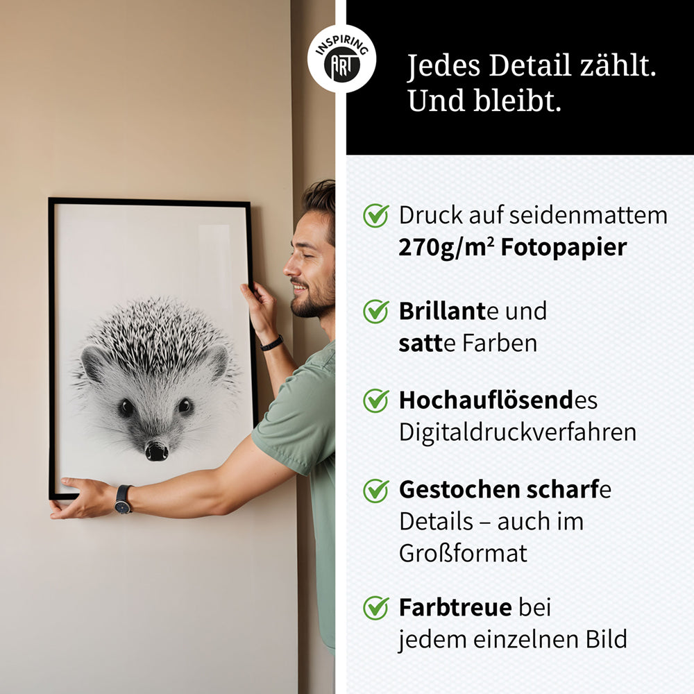 Poster: Tierporträt Igel "Pico" in Schwarz-Weiß