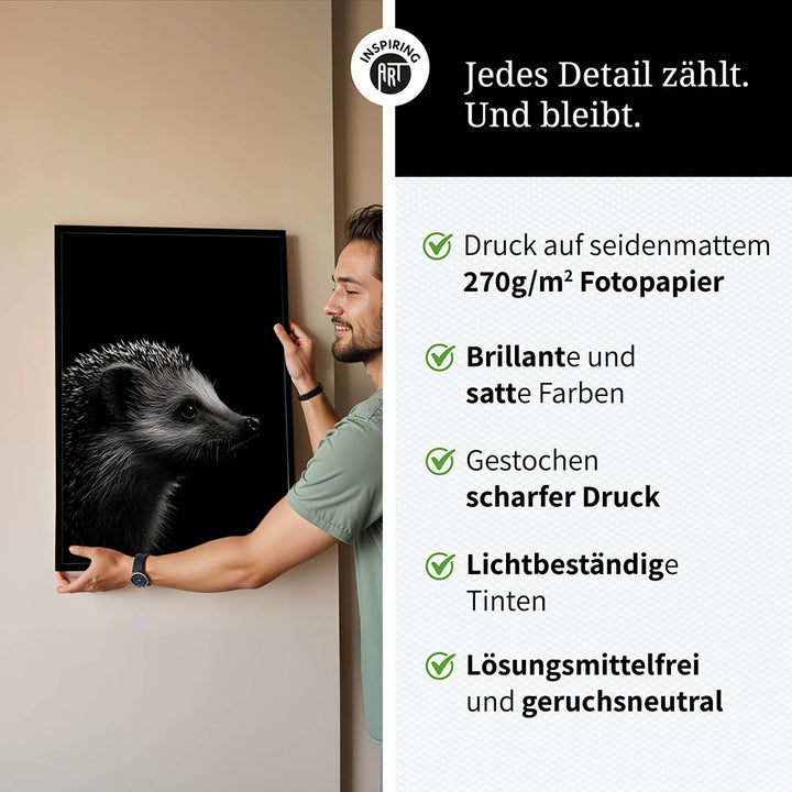 Poster: Tierporträt Igel "Nox" in Schwarz-Weiß