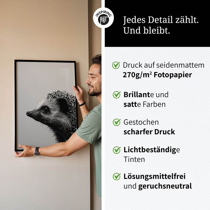 Poster: Tierporträt Igel "Fips" in Schwarz-Weiß