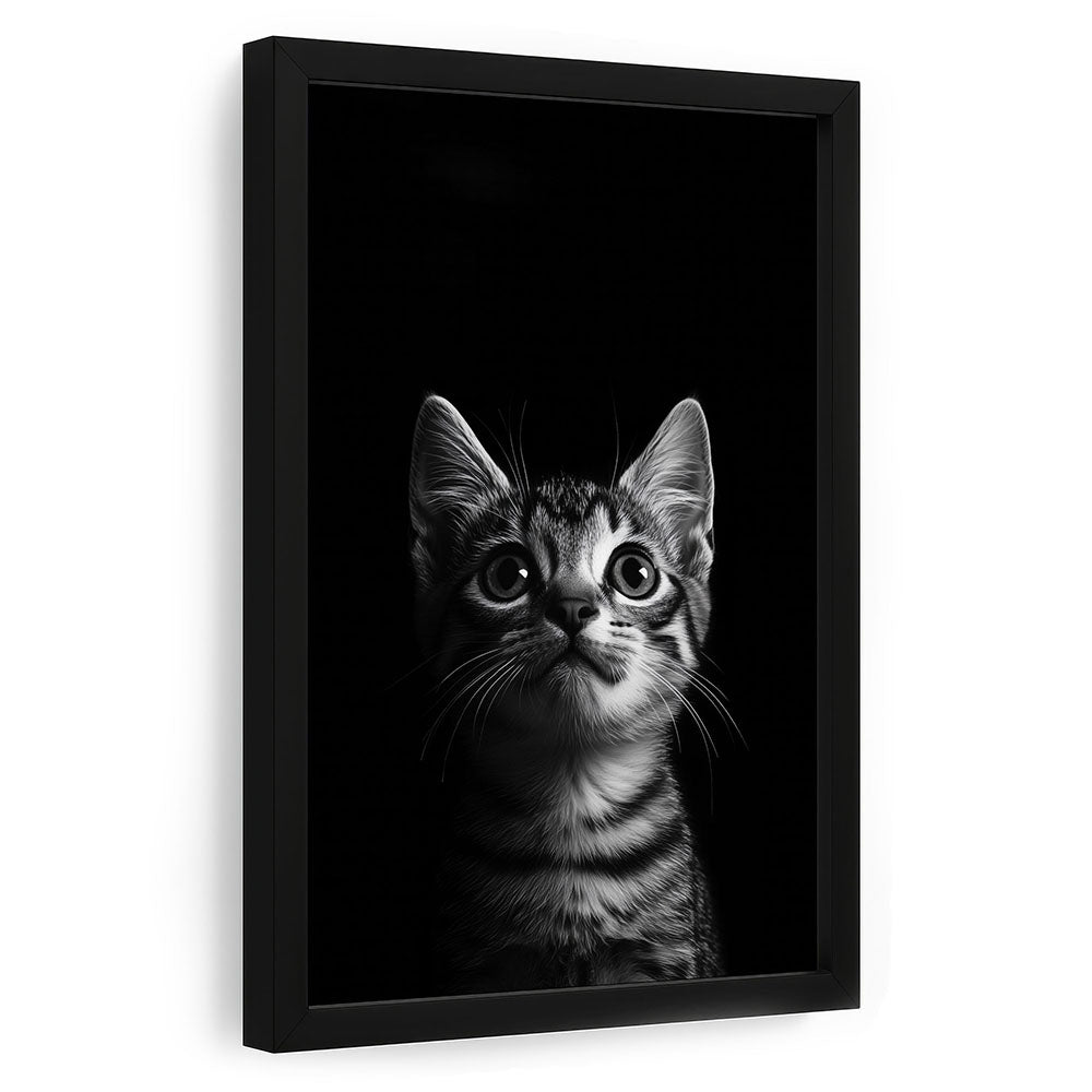 Tierposter mit Rahmen Katze Schwarz Weiß