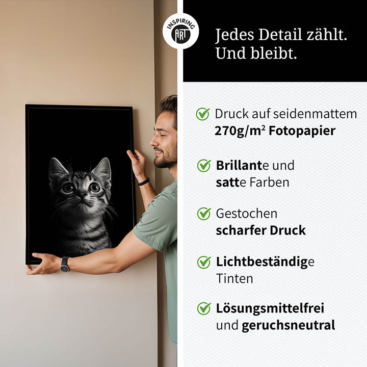 Poster: Tierporträt Katze "Felino" in Schwarz-Weiß