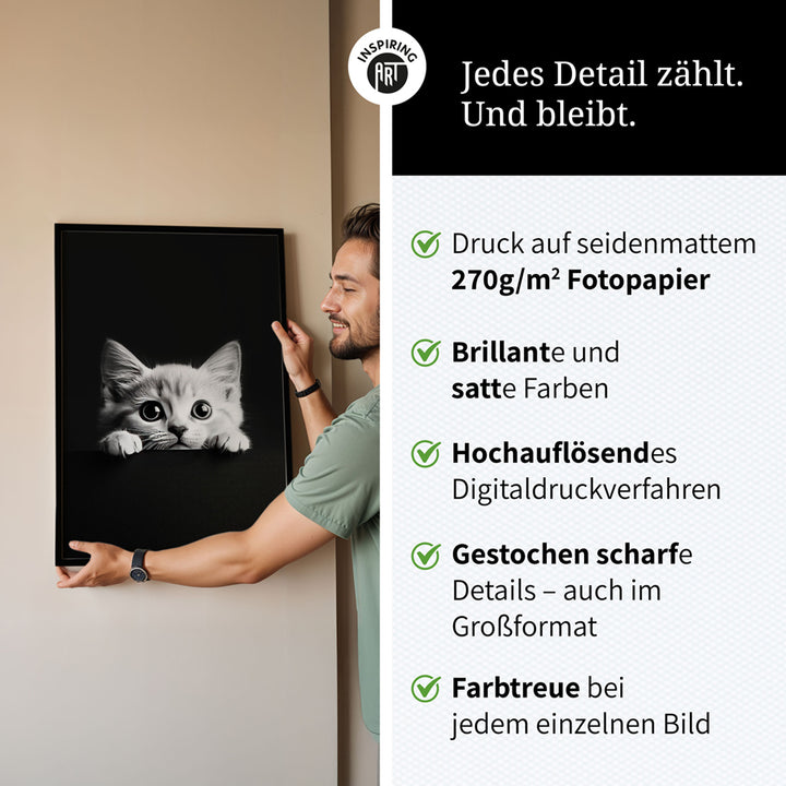 Poster: Tierporträt Katze "Misty" in Schwarz-Weiß