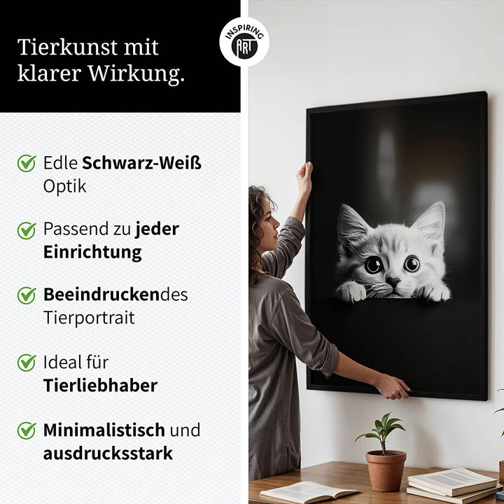 Poster: Tierporträt Katze "Misty" in Schwarz-Weiß