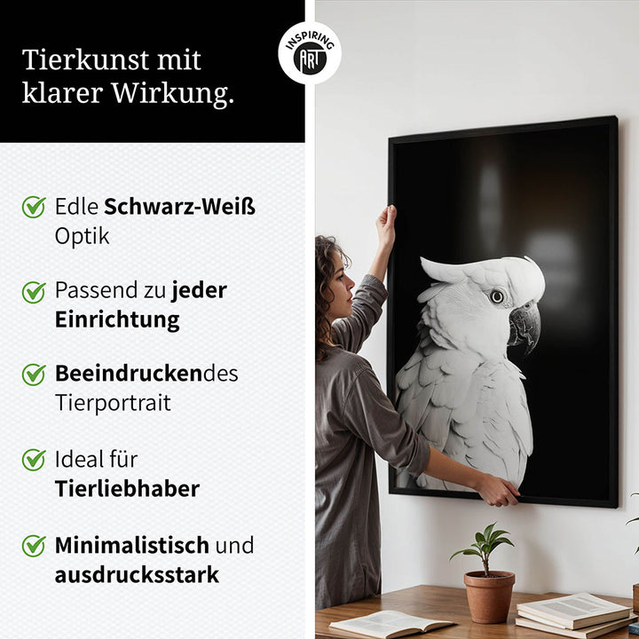 Poster: Tierporträt Papagei "Rio" in Schwarz-Weiß