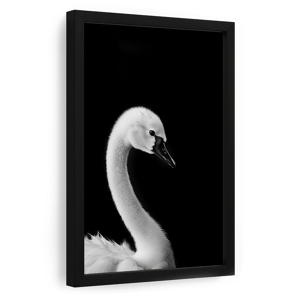 Schwan Poster mit Rahmen Schwarz Weiß