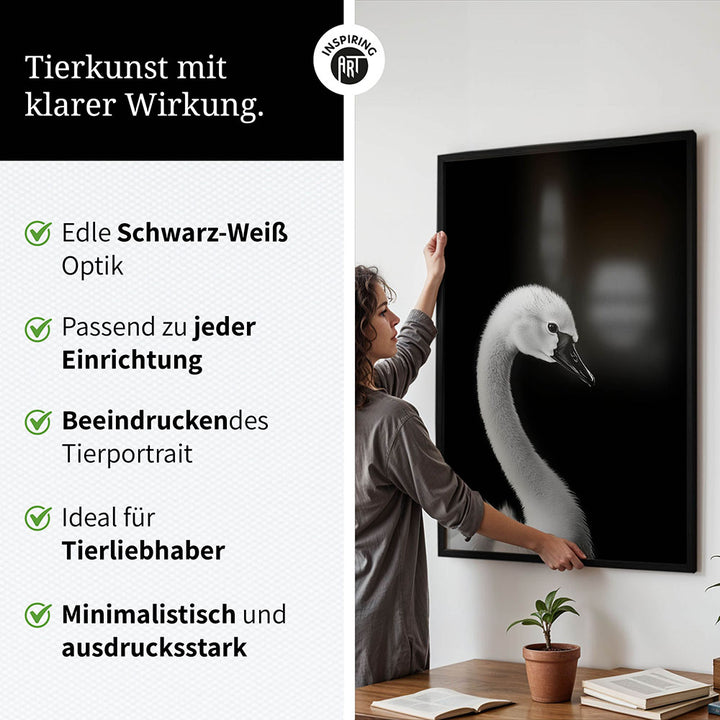 Poster: Tierporträt junger Schwan "Zaria" in Schwarz-Weiß