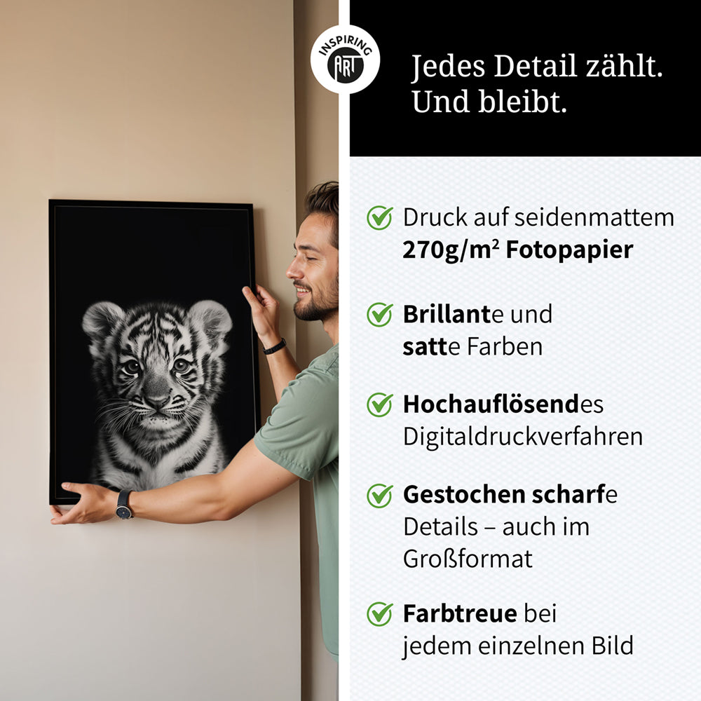 Poster: Tierporträt junger Tiger "Zuko" in Schwarz-Weiß
