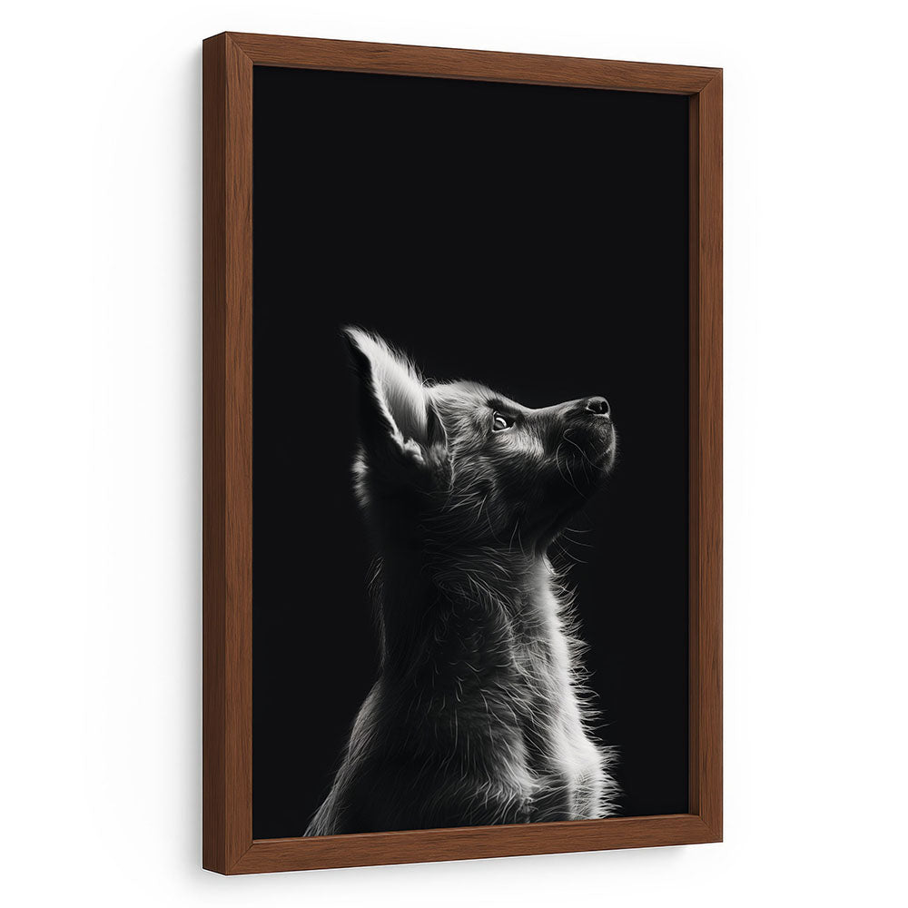 Tierbild Hund mit Rahmen