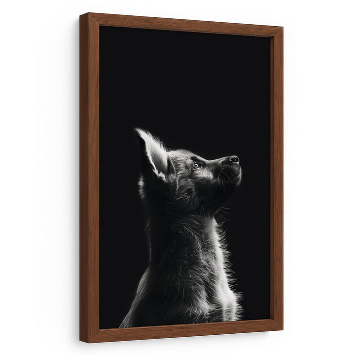 Tierbild Hund mit Rahmen