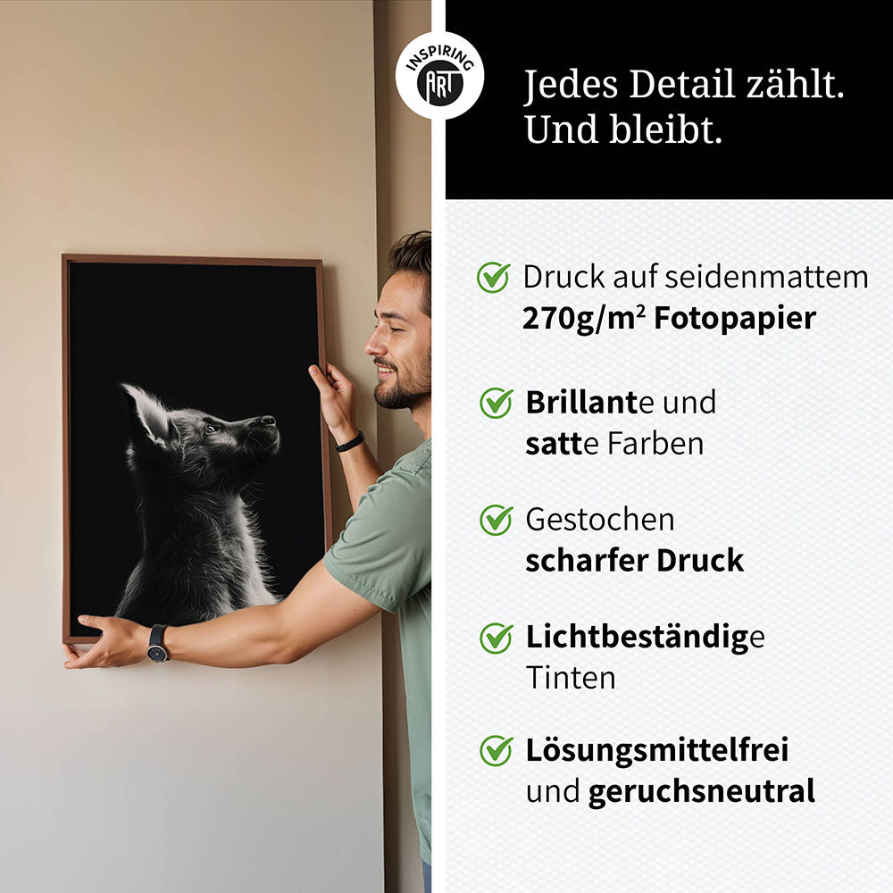 Poster: Tierporträt Hund "Lex" in Schwarz-Weiß