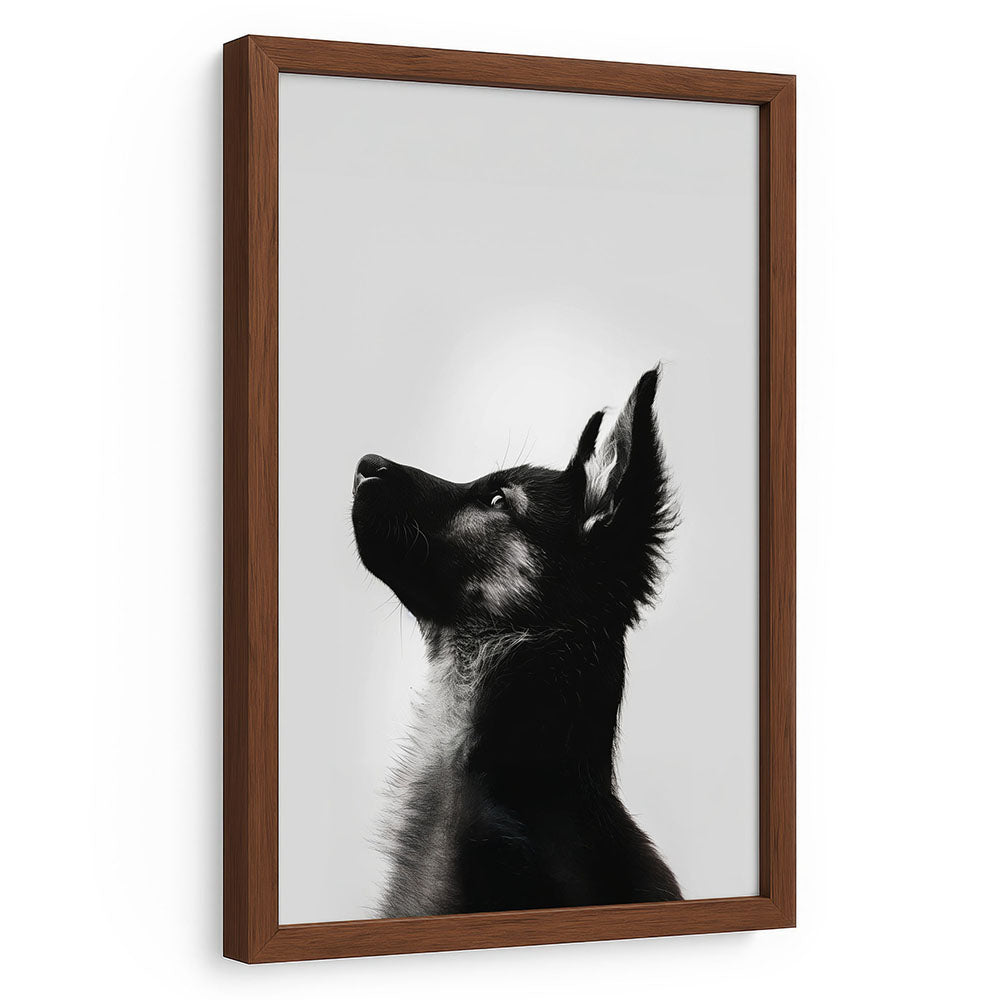 Tierbild Hund mit Rahmen