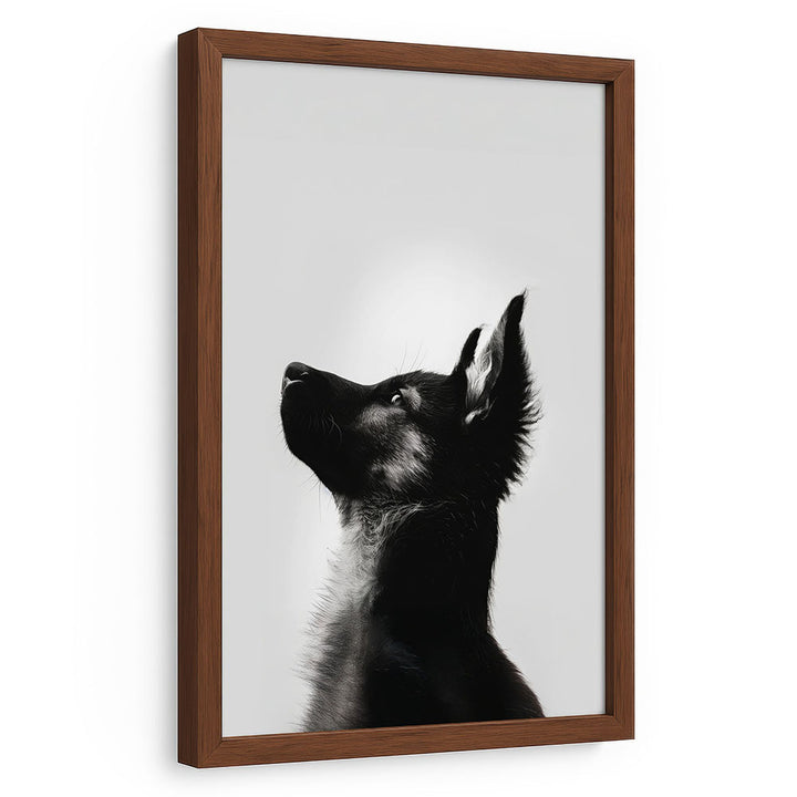 Tierbild Hund mit Rahmen