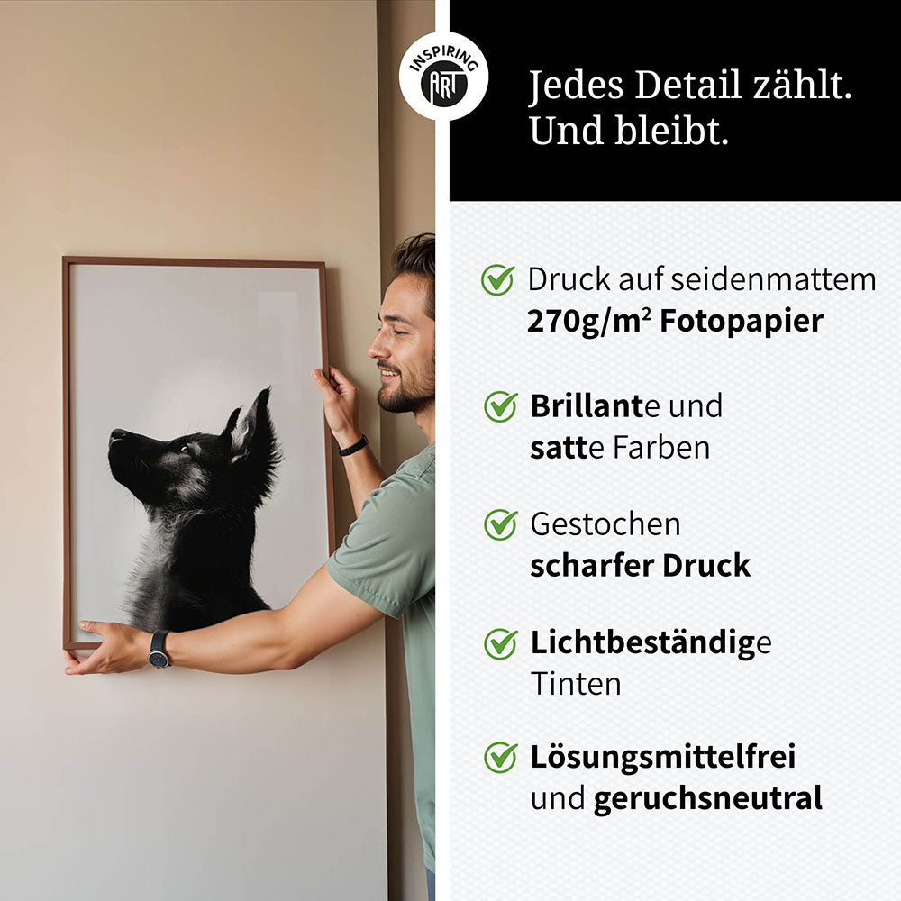 Poster: Tierporträt Hund "Baxter" in Schwarz-Weiß