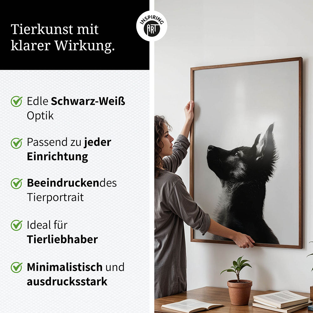 Poster: Tierporträt Hund "Baxter" in Schwarz-Weiß