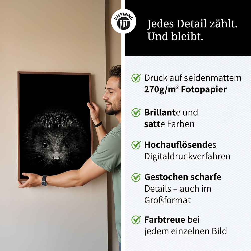Poster: Tierporträt Igel "Stitch" in Schwarz-Weiß