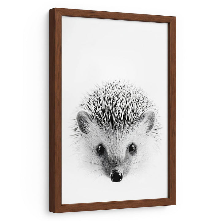 Tierbild Igel mit Rahmen